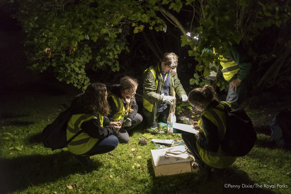 Volunteers at work in the Regent's Park. Credit: Penny Dixie